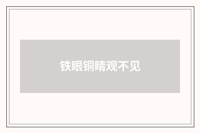 铁眼铜睛观不见