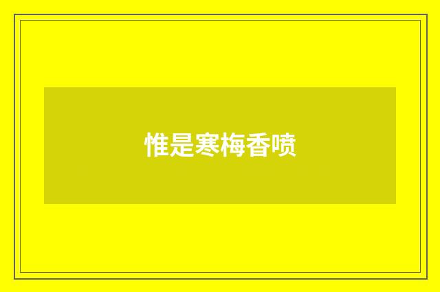 惟是寒梅香喷