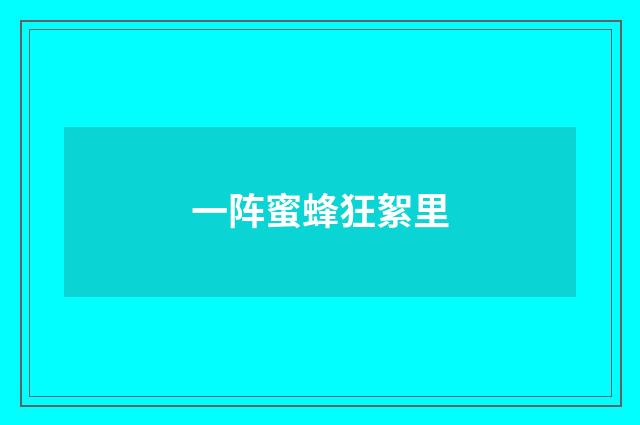 一阵蜜蜂狂絮里