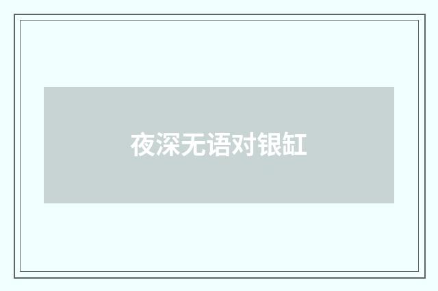 夜深无语对银缸