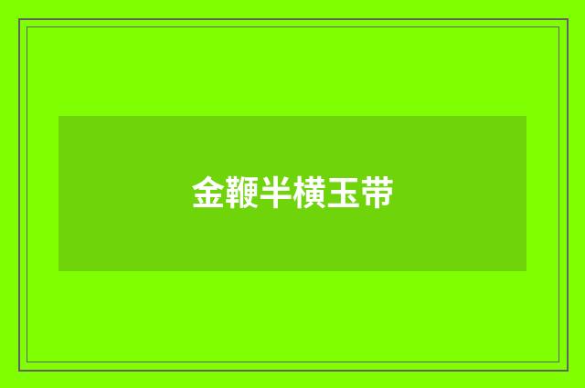 金鞭半横玉带