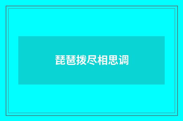 琵琶拨尽相思调