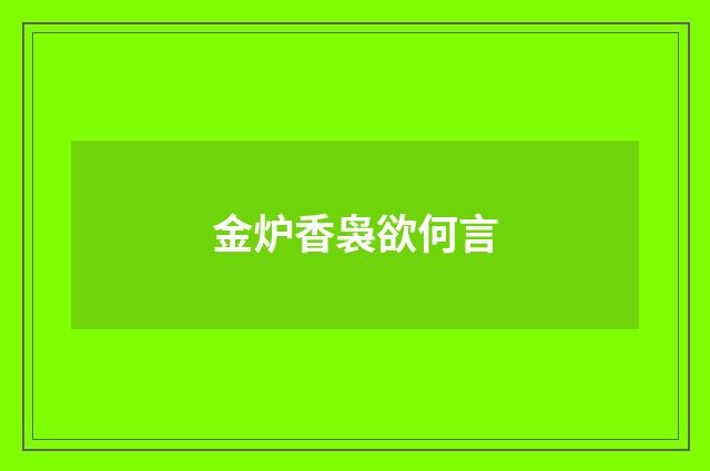 金炉香袅欲何言