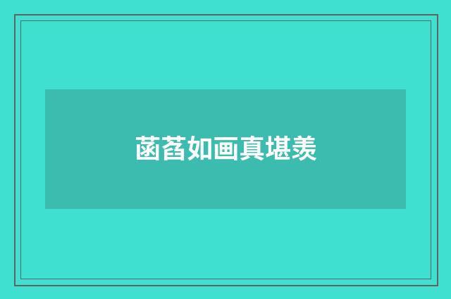 菡萏如画真堪羡