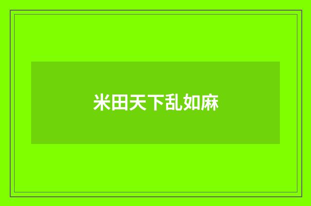 米田天下乱如麻