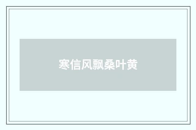 寒信风飘桑叶黄