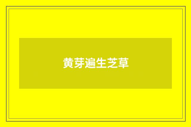 黄芽遍生芝草