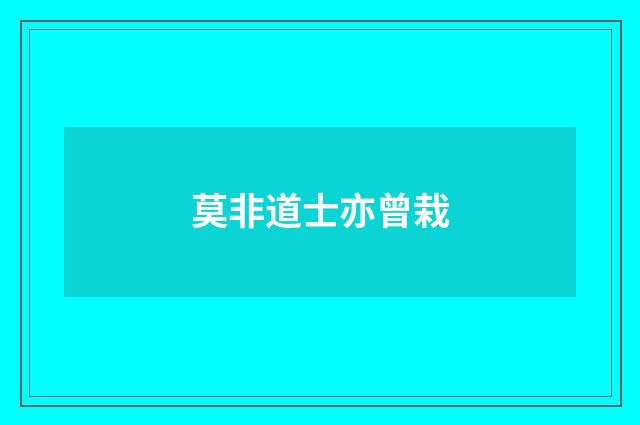莫非道士亦曾栽