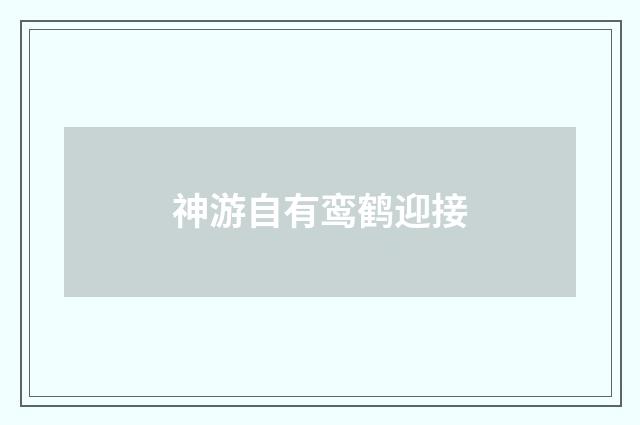 神游自有鸾鹤迎接