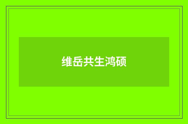 维岳共生鸿硕