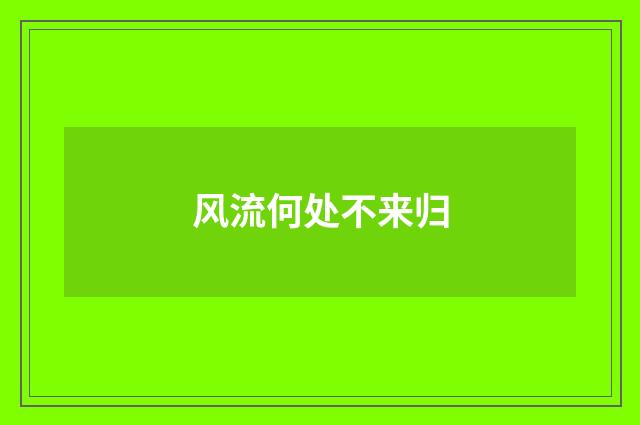 风流何处不来归