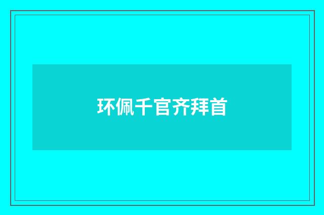 环佩千官齐拜首