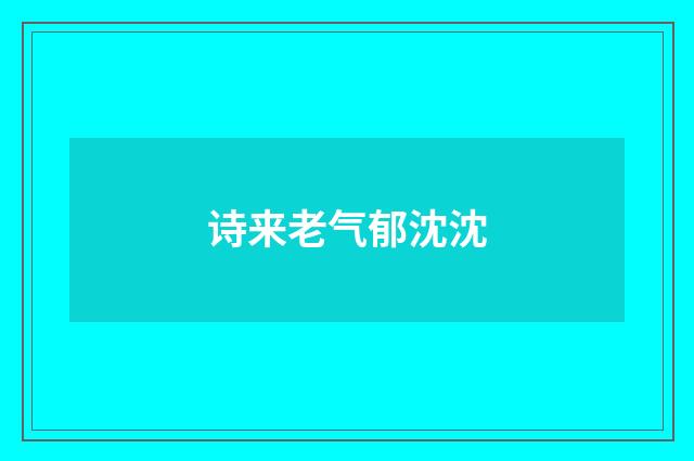 诗来老气郁沈沈