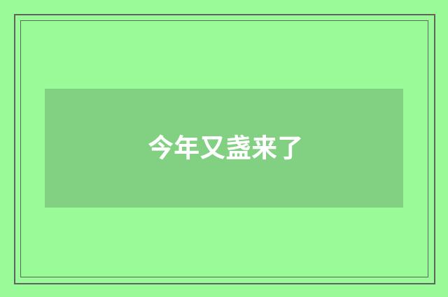 今年又盏来了