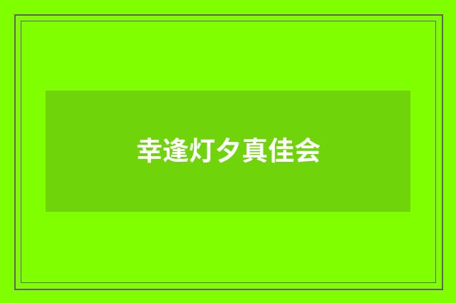 幸逢灯夕真佳会