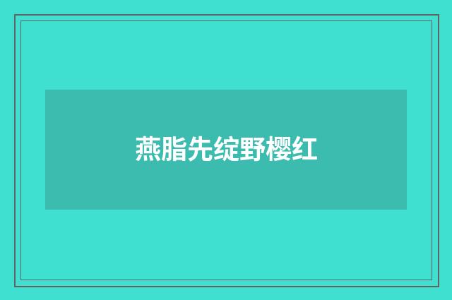 燕脂先绽野樱红