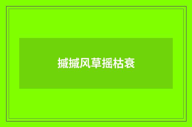 摵摵风草摇枯衰