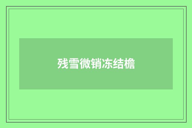 残雪微销冻结檐