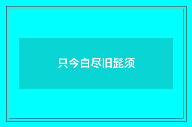 只今白尽旧髭须