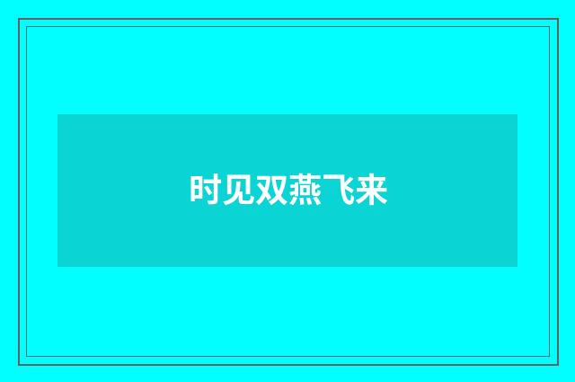 时见双燕飞来