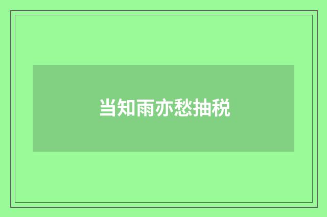 当知雨亦愁抽税