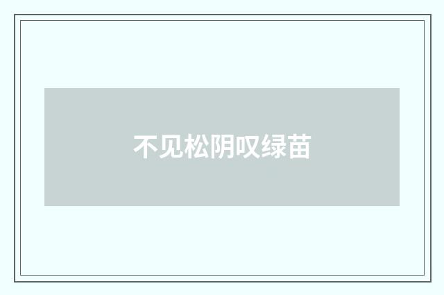 不见松阴叹绿苗