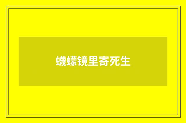 蠛蠓镜里寄死生