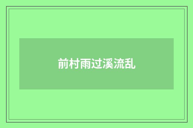 前村雨过溪流乱