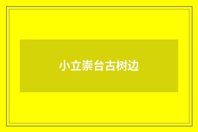 小立崇台古树边