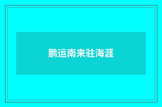 鹏运南来驻海涯