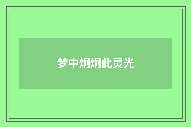 梦中炯炯此灵光