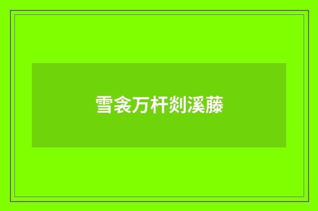 雪衾万杆剡溪藤