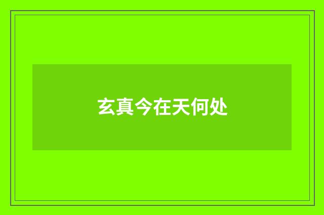 玄真今在天何处