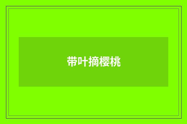 带叶摘樱桃