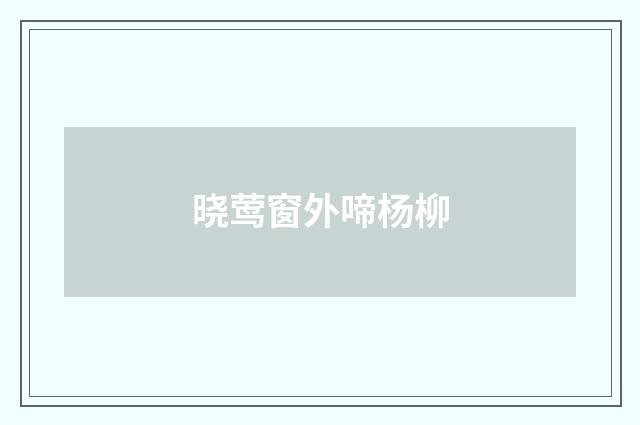 晓莺窗外啼杨柳