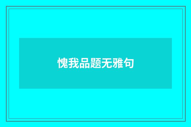 愧我品题无雅句