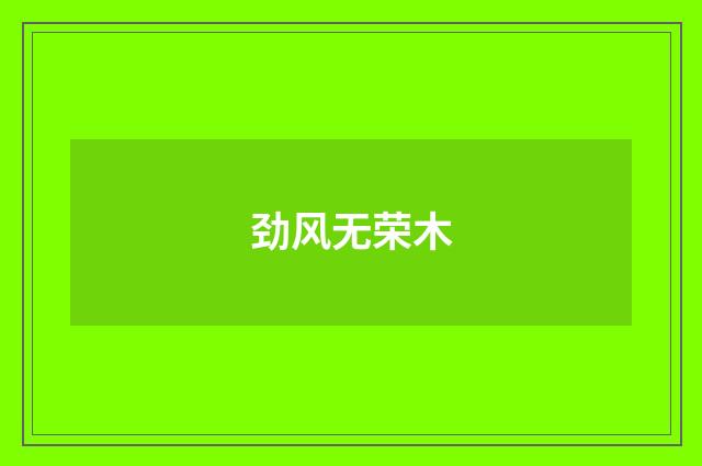 劲风无荣木