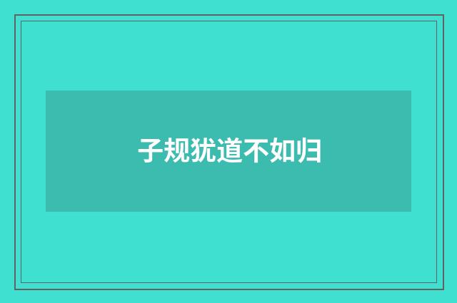 子规犹道不如归