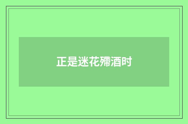 正是迷花殢酒时