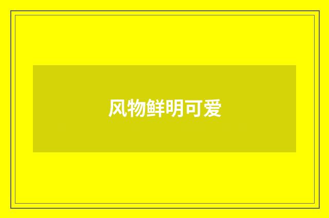 风物鲜明可爱