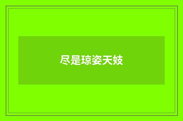 尽是琼姿天妓