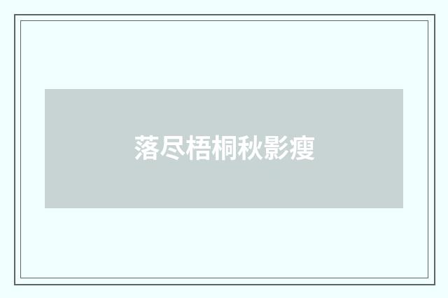 落尽梧桐秋影瘦