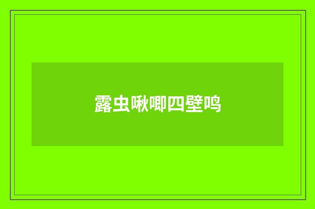 露虫啾唧四壁鸣