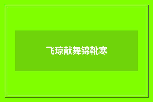 飞琼献舞锦靴寒