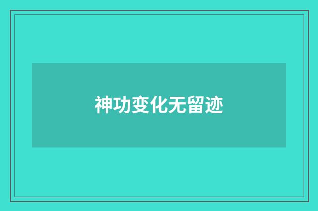 神功变化无留迹