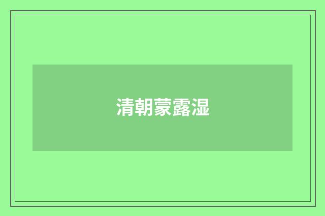 清朝蒙露湿