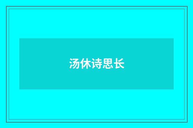 汤休诗思长