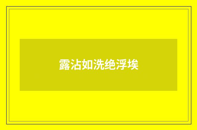 露沾如洗绝浮埃