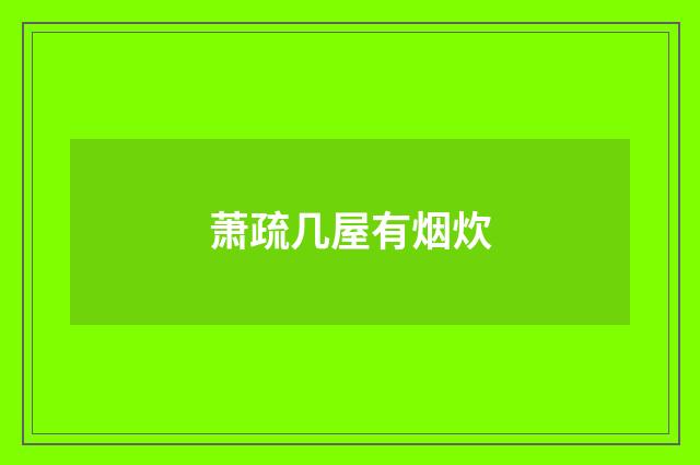 萧疏几屋有烟炊