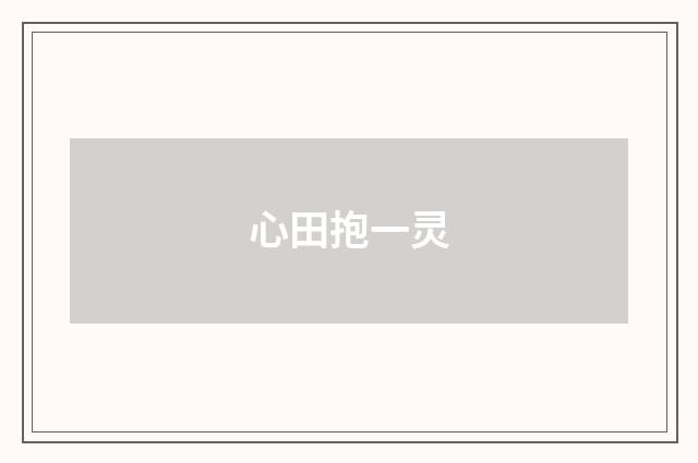 心田抱一灵